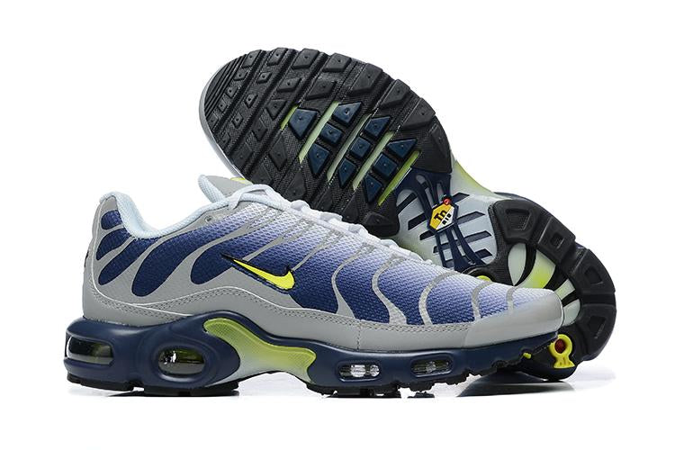 Air Max Plus TN Metallic Silver