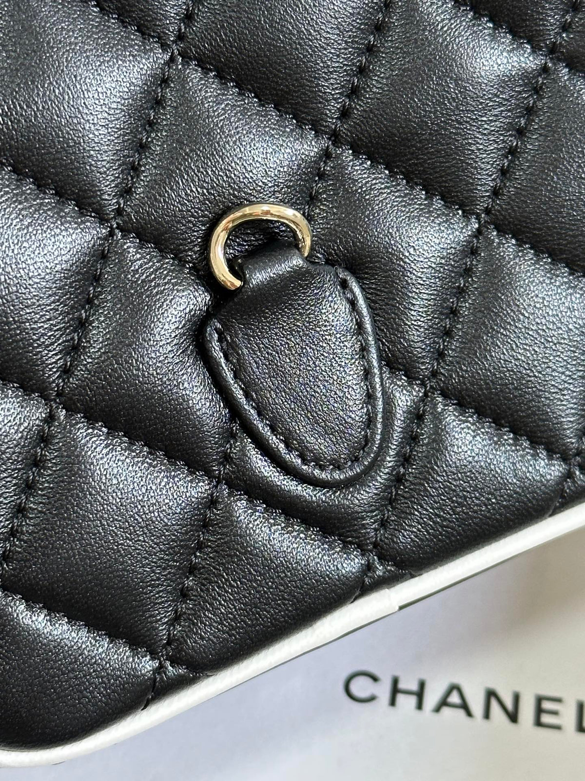 CC 25P Mini Backpack 18 Black White Lambskin Gold Hardware 243528
