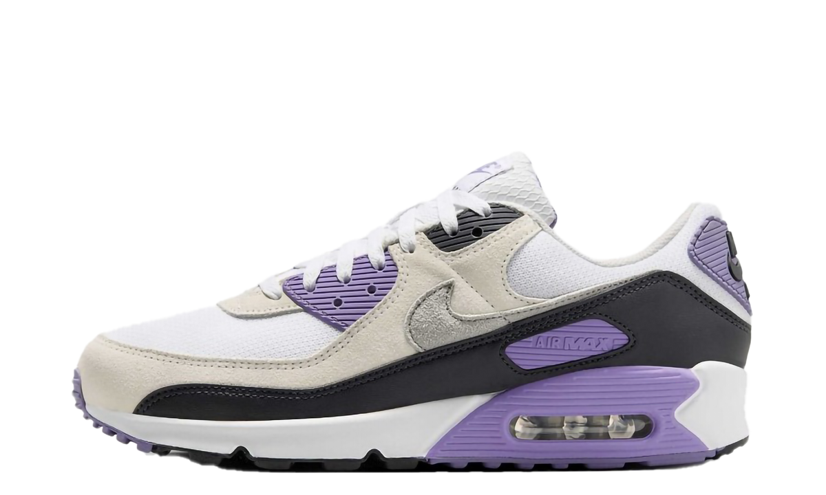 Air Max 90 "White Dusty Amethyst Photon Dust Light Smoke Grey" DM0029 114