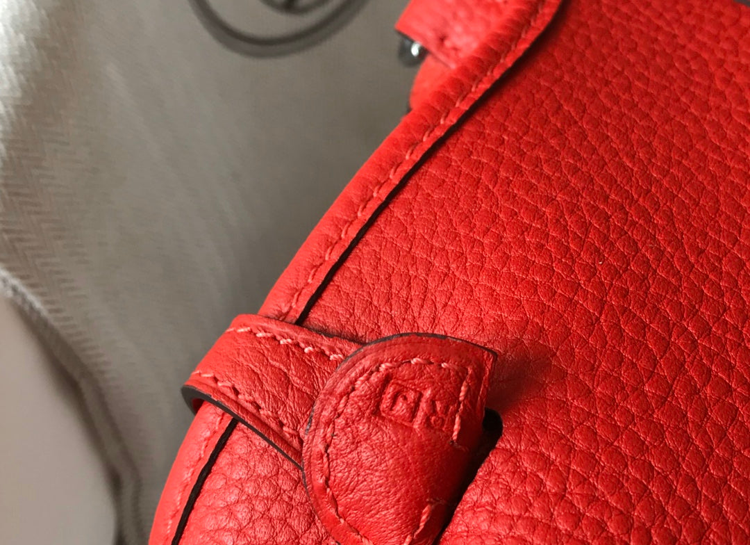 Mini Evelyne 18cm Red Togo Silver Hardware