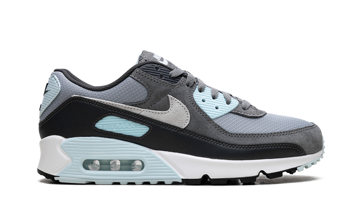 Air Max 90 "Pumice" DM0029 009