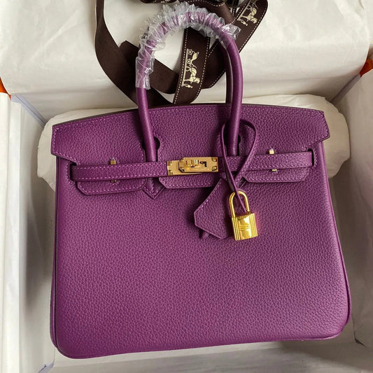 Hermes 2025 Birkin Bag Purple With Gold Hardware Epsom Leather
