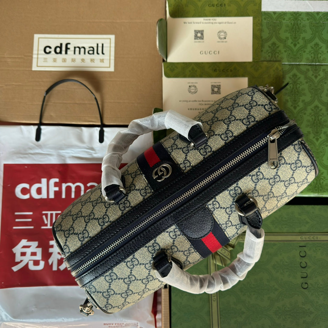 Gucci Ophidia Bag Beige mix Blue Canvas 240088