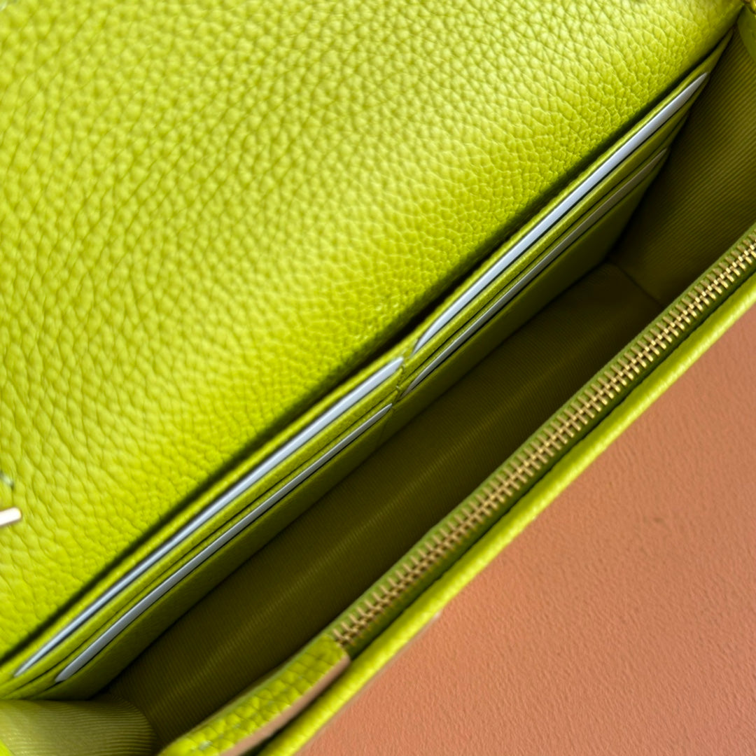Gucci Marmont Chain Wallet Brown mix Light Green Leather 254943