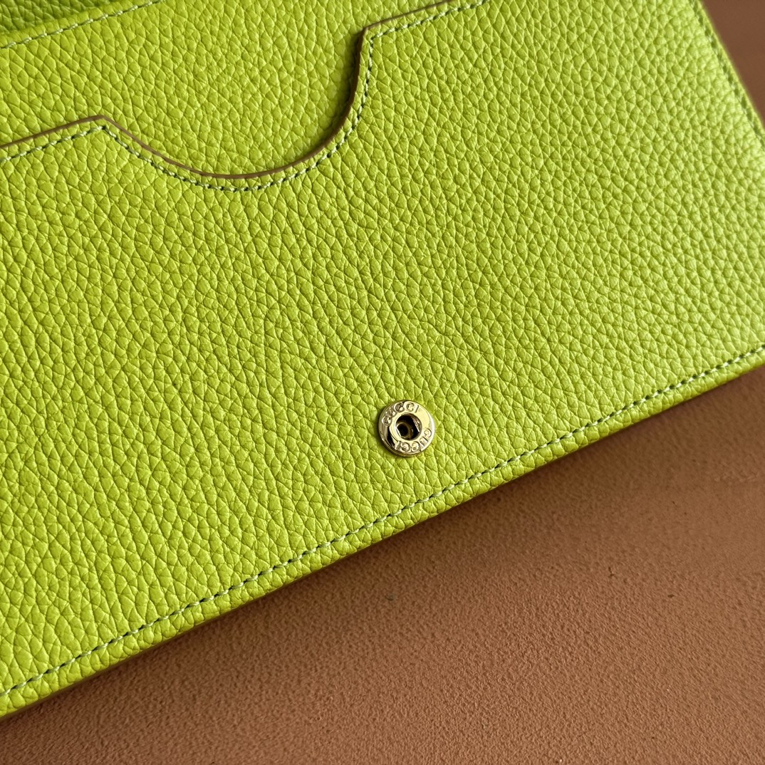 Gucci Marmont Chain Wallet Brown mix Light Green Leather 254943