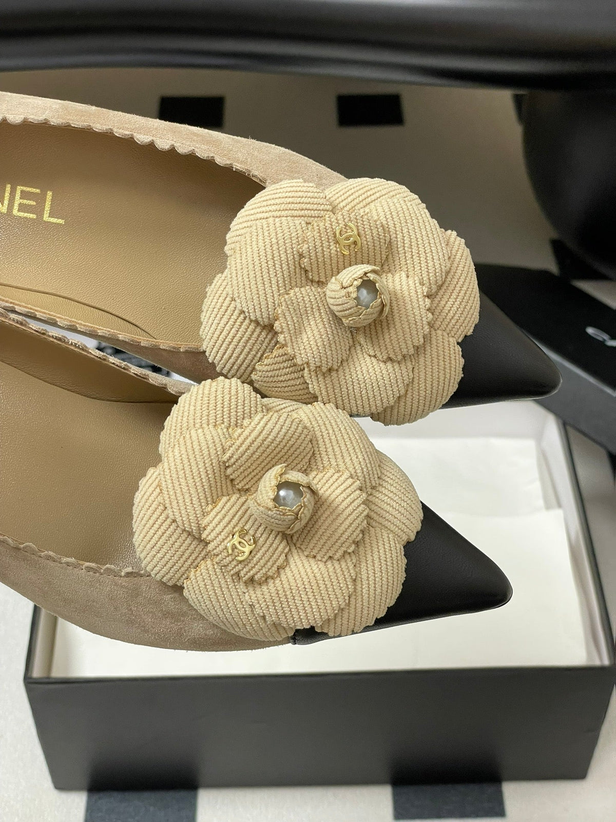 CC 25C Classic Camellia Pointed High Heels Pump 35mm Beige Suede 247612