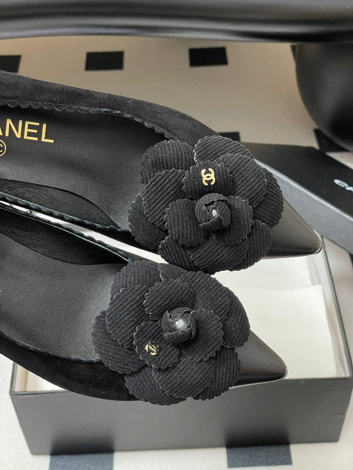 CC 25C Classic Camellia Pointed High Heels Pump 35mm Black Suede 247614